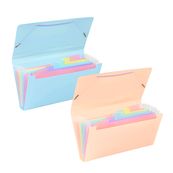 Viquel Rainbow Pastel - Trieur à soufflet - format chèque - disponible en différents coloris