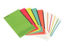 Esselte Orgarex - 10 Étiquettes pour dossiers suspendus armoires - coloris assortis
