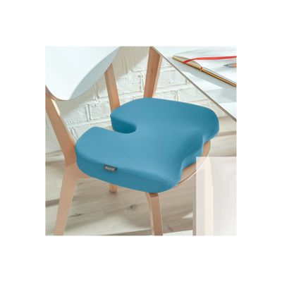 4002432129560-Leitz Ergo Cosy - Coussin de siège ergonomique - bleu calme-Angle gauche-4