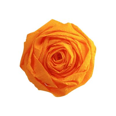 3065501036160-Clairefontaine Premium - Papier crépon - Rouleau 50 cm x 2,5 m - 40 g/m² - or-Avant-0