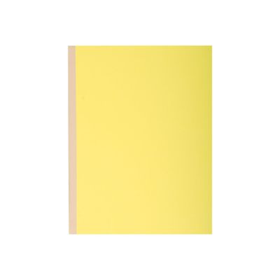 3130637710007-Exacompta Forever - 10 Chemises à soufflet - 320 gr - couleurs assorties-Avant-4