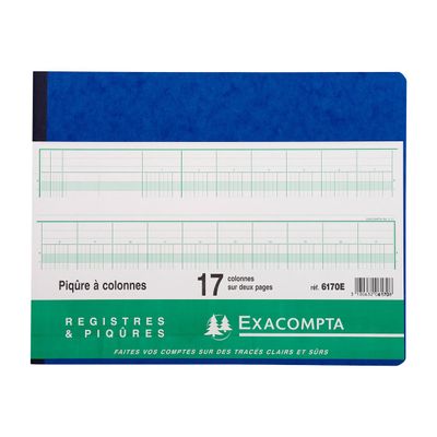 3130632061708-Exacompta - Piqûre comptable - 17 colonnes par page - 25 x 32 cm - 80 pages-Avant-0