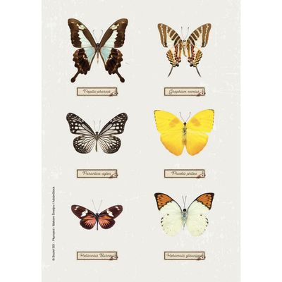 3660942072090-Agenda Curiosités - 1 jour par page - 12 x 17 cm - disponible dans différentes couleurs - Exacompta--3