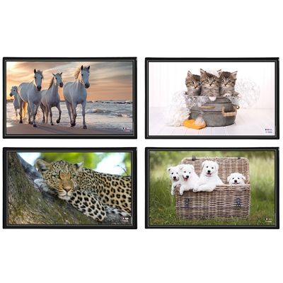 3135251382876-Viquel - Sous-main Animaux - 59,8 x 36,5 cm - disponible dans différents modèles--0