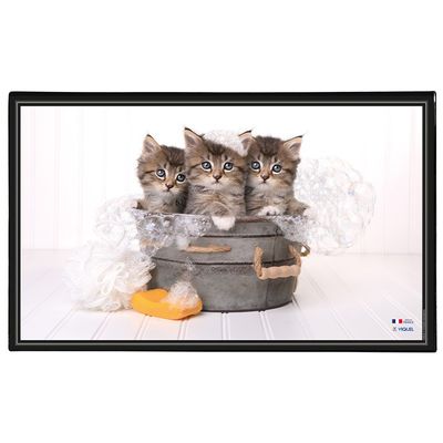 3135251382876-Viquel - Sous-main Animaux - 59,8 x 36,5 cm - disponible dans différents modèles--1