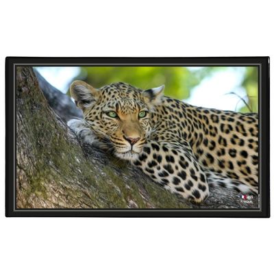 3135251382876-Viquel - Sous-main Animaux - 59,8 x 36,5 cm - disponible dans différents modèles--4