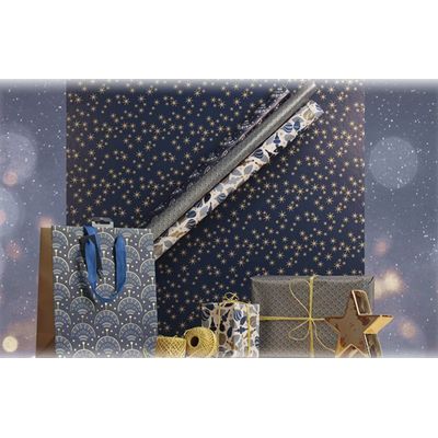 3329682020661-Clairefontaine Excellia Christmas - Papier cadeau - 70 cm x 2 m - différents modèles disponibles (nui--3