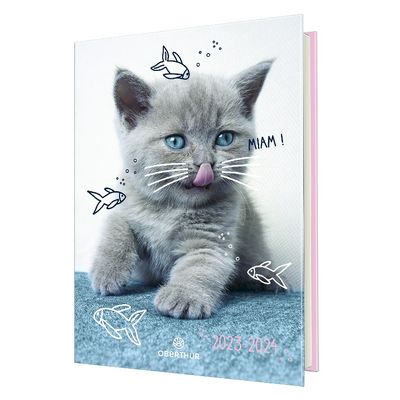 3664447143842-Agenda Chaton - 1 jour par page - 12,5 x 17,5 cm - drôle - Oberthur--0