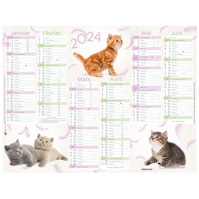 3664447151441-Calendrier Chats 4 saisons - 6 mois par face - 40,5 x 55 cm - Oberthur--0