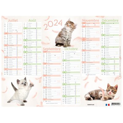 3664447151441-Calendrier Chats 4 saisons - 6 mois par face - 40,5 x 55 cm - Oberthur--1
