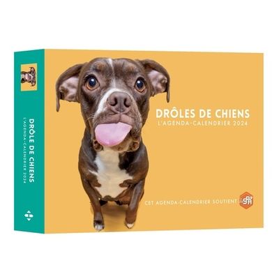 9782755667974-Agenda-Calendrier Drôles de chiens--0