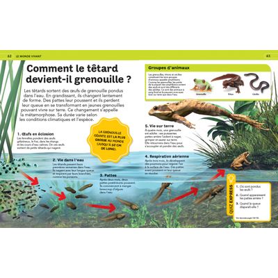 9782095041458-Livre La grande encyclopédie illustrée dès 7 ans--1