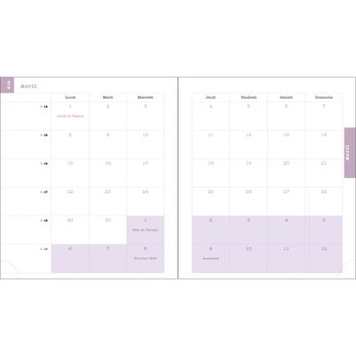 3660942087186-Agenda de bureau spiralé Color Design - 1 semaine sur 2 pages - 15 x 17 cm - tournesols - Exacompta--2