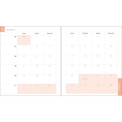 3660942087186-Agenda de bureau spiralé Color Design - 1 semaine sur 2 pages - 15 x 17 cm - tournesols - Exacompta--4