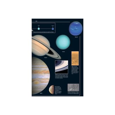 9782036022256-Petit Larousse illustré 2025 - livre-P_405188735_10-9