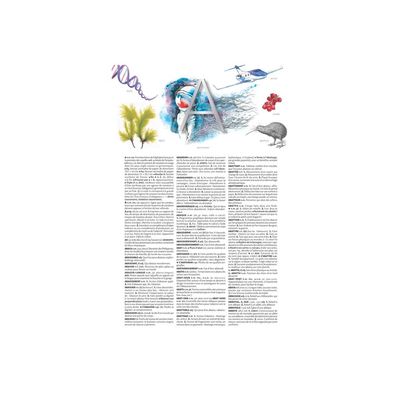 9782036022256-Petit Larousse illustré 2025 - livre-P_405188735_5-4