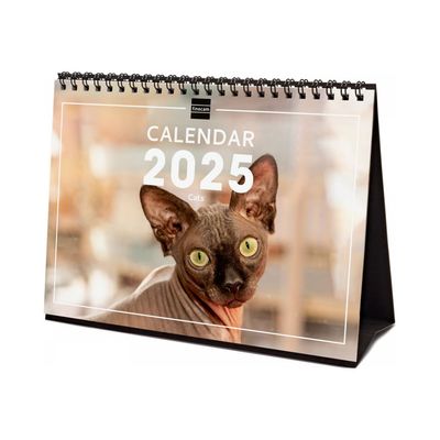 8422952382843-Finocam - Calendrier - de bureau - 2025 - chats - mois à afficher - S - 210 x 150 mm - da-P_405226660_4-0