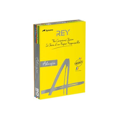 3141720137618-Rey Adagio - Papier couleur - A4 (210 x 297 mm) - 160 g/m² - Ramette de 250 feuilles - cou-Angle gauche-0