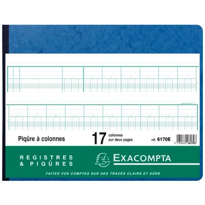 3130632061708-Exacompta - Piqûre comptable - 17 colonnes par page - 25 x 32 cm - 80 pages--2