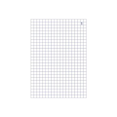 3416790021342-ELVE - Manifold quadrillé 5x5 - 50 tripli - 14,8 x 21 cm-Avant-1