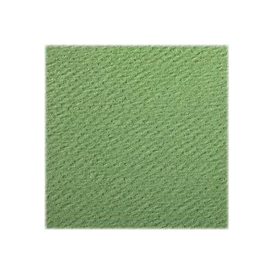 3329680937961-Clairefontaine - Papier dessin couleur à grain - feuille 50 x 65 cm - vert pomme-Gros plan-1