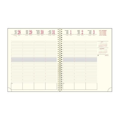 3660942011501-Agenda à spirale Linicolor - 1 semaine sur 2 pages - 16 mois - 18,5 x 22,5 cm - disponible dans différentes cou--1