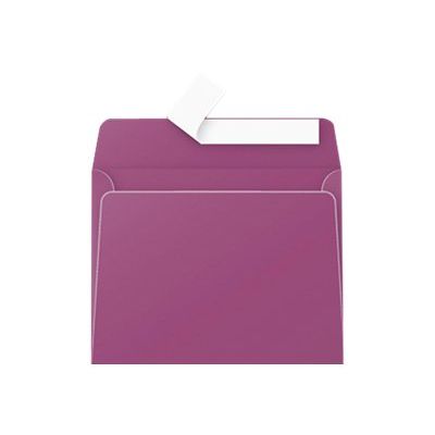3329680052411-Pollen - 20 Enveloppes - 90 x 140 mm - 120 g/m² - cassis-P_79146760_1-0