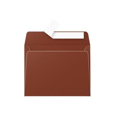 3329680052312-Pollen - 20 Enveloppes - 90 x 140 mm - 120 g/m² - chocolat-P_79146775_1-0