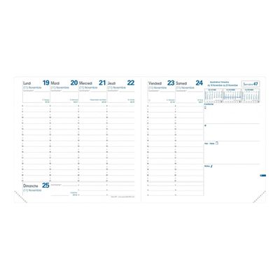 3371010423682-Catalina Estrada - Agenda à élastique - 1 semaine sur 2 pages - 16 x 16 cm - tigre - Quo -P_79438170_3-1