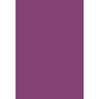 0400791467738-Pollen - 50 Feuilles papier couleur - A4 (21 x 29,7 cm) - 120 g/m² - cassis--0