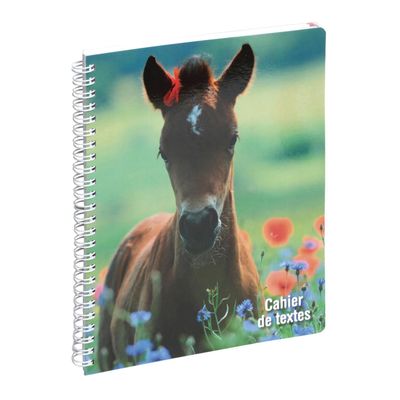 3660942244183-Cahier de textes spiralé Animaux - 17 x 22 cm - disponible dans différentes couleurs - Exacompta--1