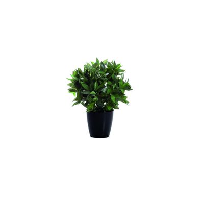 3660141290097-Plante artificielle laurier - hauteur 50 cm--0