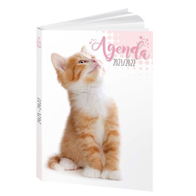 3592930017267-Agenda Chaton - 1 jour par page - 12 x 17 cm - Bouchut--0