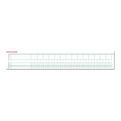 3130632183103-Exacompta - Piqûre à tête paresseuse - 32 colonnes sur 2 pages - 29,7 x 38 cm - 80 pages-Avant-0