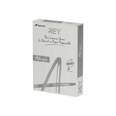 3141728711322-Rey Adagio - Papier couleur - A3 (297 x 420 mm) - 160 g/m² - Ramette de 250 feuilles - gris-Angle droit-0