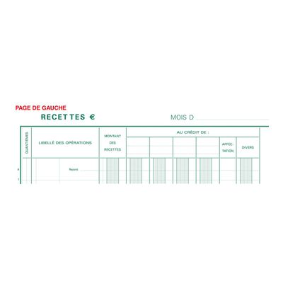 3130632075002-Exacompta - Journal de caisse ou banque - 10 colonnes : 5 débits/5 crédits - 32 x 19,5 cm ve-Gros plan-1
