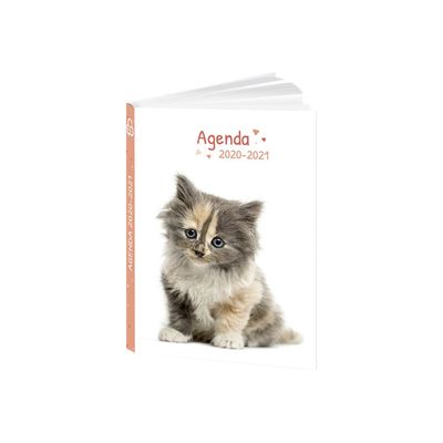 3592930017267-Agenda Chaton - 1 jour par page - 12 x 17 cm - Bouchut-Angle gauche-3