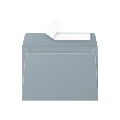 3329680500769-Pollen - 20 Enveloppes - 114 x 162 mm - 120 g/m² - argent-Avant-0