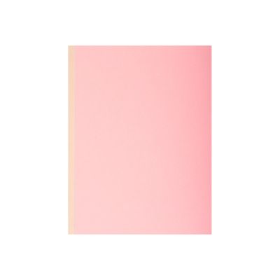 3130637710007-Exacompta Forever - 10 Chemises à soufflet - 320 gr - couleurs assorties-Avant-5