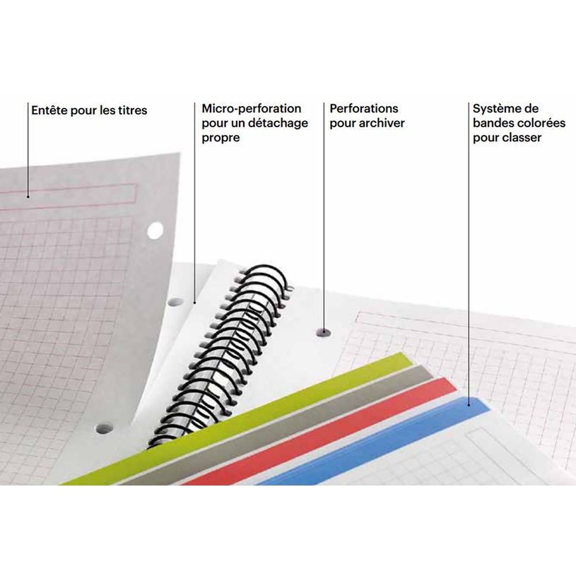 8422593060278-Notebook ECO DESIGN, Just Black, carton recyclé, A4, quadrillage 5x5 mm, 120 feuilles de 4 couleurs, M--7