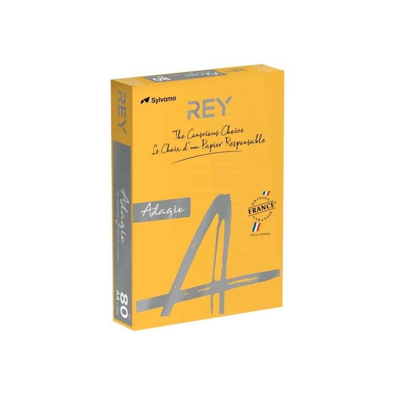 8421938302141-Rey Adagio - Papier couleur - A4 (210 x 297 mm) - 80 g/m² - Ramette de 500 feuilles - abr-P_300044644_1-0