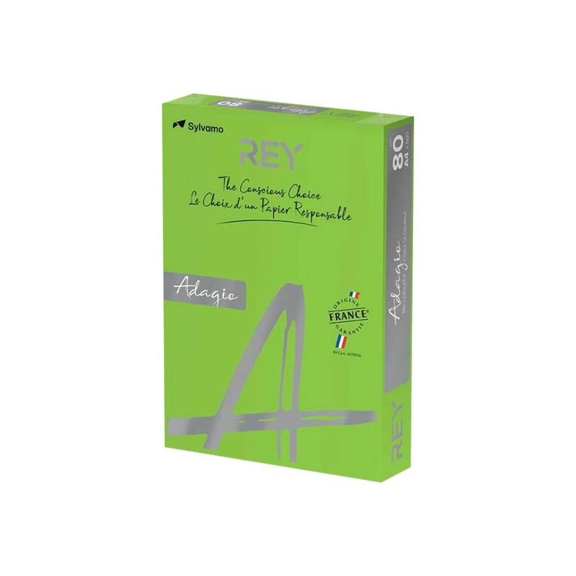 3368220102995-Rey Adagio - Papier couleur - A4 (210 x 297 mm) - 80 g/m² - Ramette de 500 feuilles - ver-P_300044647_1-0