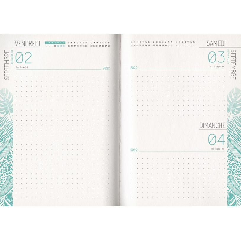 3592930019636-Agenda broché Python - 1 jour par page - 12,5 x 17,5 cm - Bouchut-P_405114206_8-7