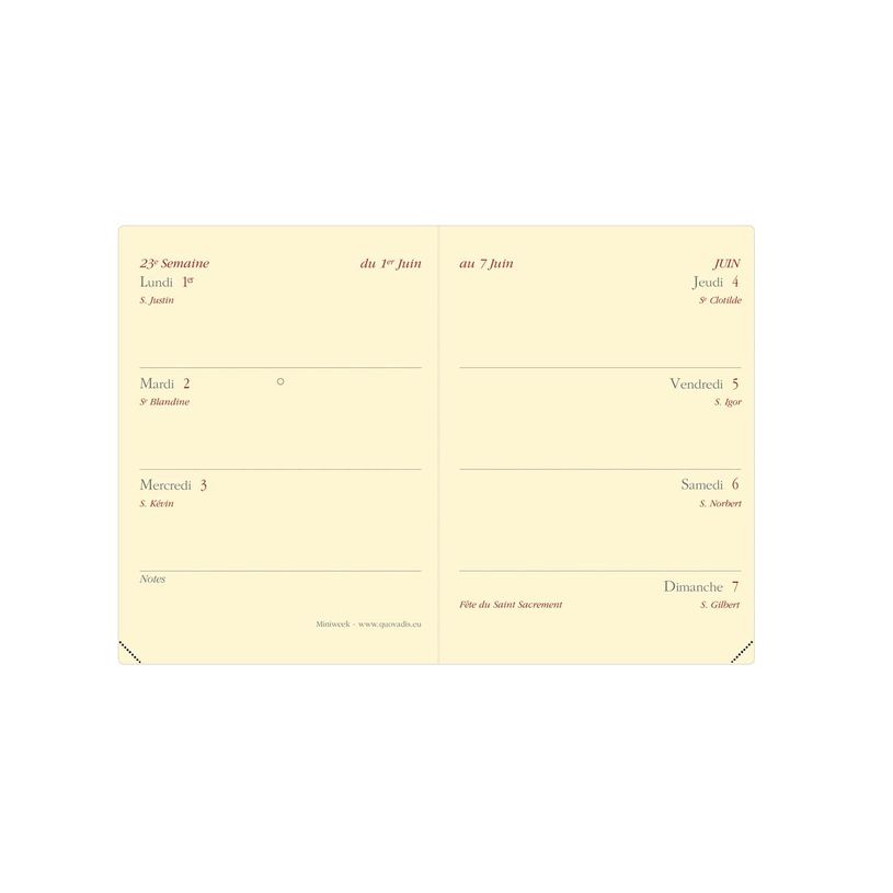 3371010134847-Agenda de poche Impala Miniweek - 1 semaine sur 2 pages - 7 x 10 cm - noir - Quo Vadis--1