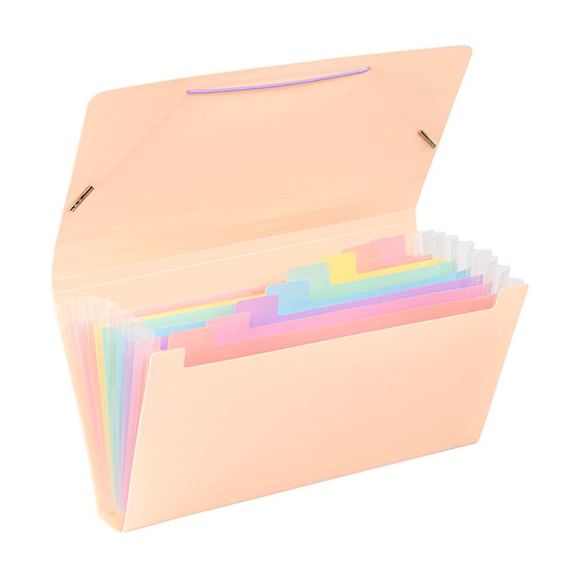 3135251131153-Viquel Rainbow Pastel - Trieur à soufflet - format chèque - disponible en différents co-P_405141926_2-1