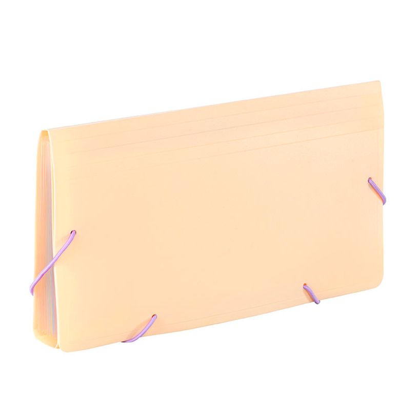 3135251131153-Viquel Rainbow Pastel - Trieur à soufflet - format chèque - disponible en différents co-P_405141926_4-3