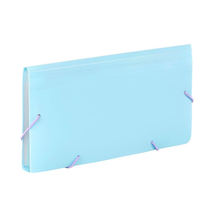 3135251131153-Viquel Rainbow Pastel - Trieur à soufflet - format chèque - disponible en différents co-P_405141926_5-4