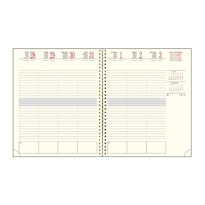 3660942084383-Agenda de bureau spiralé 16 mois Capucine - 1 semaine sur 2 pages - 18,5 x 22,5 cm - bleu-P_405161337_2-1