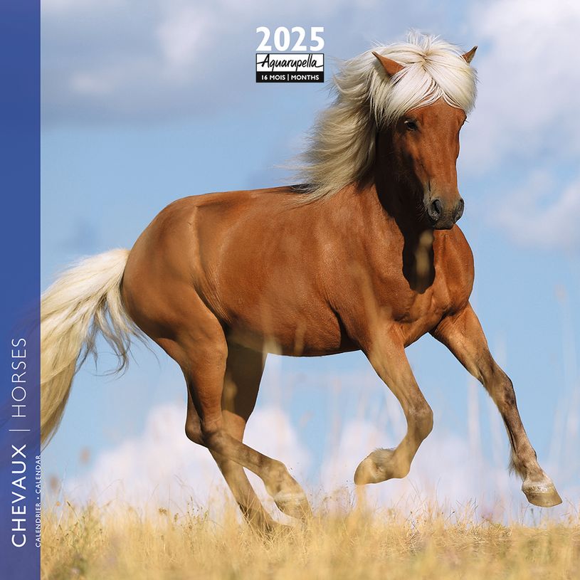 3494150160849-Calendrier mensuel 16x16 cm - 16 mois - Chevaux-P_405186569_1-0