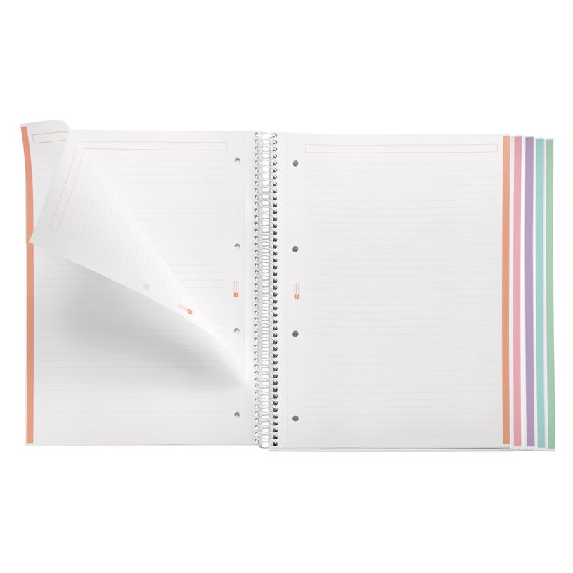 8422593499375-Notebook Emotions, couverture rigide, A4 lignes horizontales 7 mm, 120 feuilles de 5 couleurs, Miquelri--3
